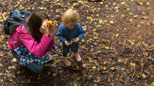 Playing in woodland at Alderley Edge and Cheshire Countryside, Cheshire